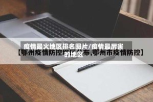 疫情最火地区排名图片/疫情最厉害的地区