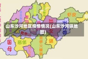 山东沙河地区疫情情况(山东沙河镇地图)