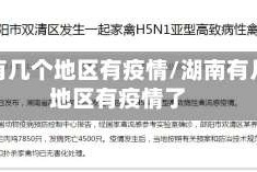 湖南有几个地区有疫情/湖南有几个地区有疫情了