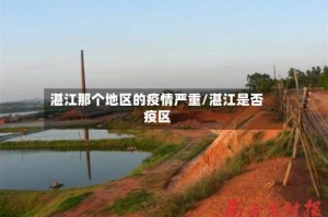 湛江那个地区的疫情严重/湛江是否疫区