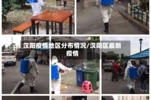 汉阳疫情地区分布情况/汉阳区最新疫情