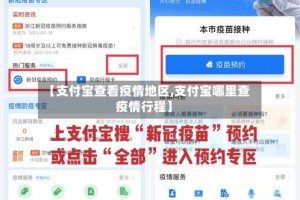 【支付宝查看疫情地区,支付宝哪里查疫情行程】