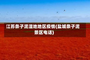 江苏条子泥湿地地区疫情(盐城条子泥景区电话)