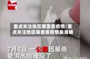 重点关注地区哪里看疫情/重点关注地区哪里看疫情最准确