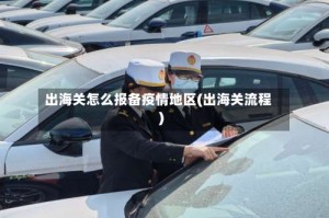 出海关怎么报备疫情地区(出海关流程)