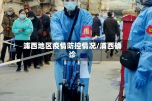 浦西地区疫情防控情况/浦西确诊