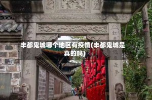 丰都鬼城哪个地区有疫情(丰都鬼城是真的吗)