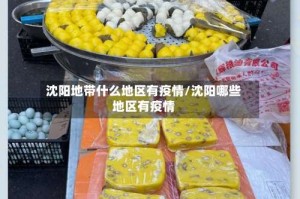 沈阳地带什么地区有疫情/沈阳哪些地区有疫情