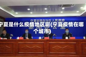 宁夏是什么疫情地区啊(宁夏疫情在哪个城市)