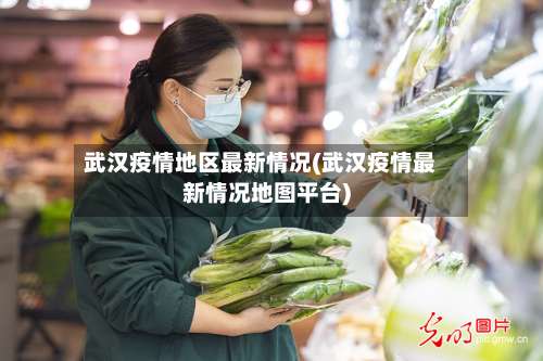 武汉疫情地区最新情况(武汉疫情最新情况地图平台)-第1张图片