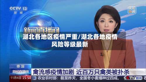 湖北各地区疫情严重/湖北各地疫情风险等级最新-第1张图片