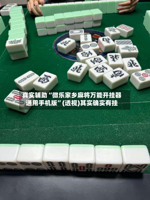 真实辅助“微乐家乡麻将万能开挂器通用手机版”(透视)其实确实有挂-第2张图片