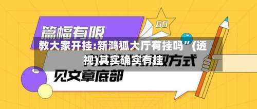 教大家开挂:新鸿狐大厅有挂吗”(透视)其实确实有挂-第1张图片