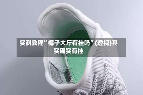 实测教程”椰子大厅有挂吗	”(透视)其实确实有挂-第2张图片