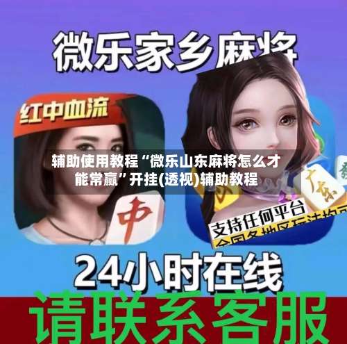 辅助使用教程“微乐山东麻将怎么才能常赢”开挂(透视)辅助教程-第1张图片