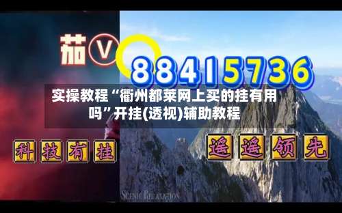 实操教程“衢州都莱网上买的挂有用吗”开挂(透视)辅助教程-第1张图片