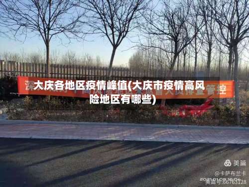 大庆各地区疫情峰值(大庆市疫情高风险地区有哪些)-第3张图片