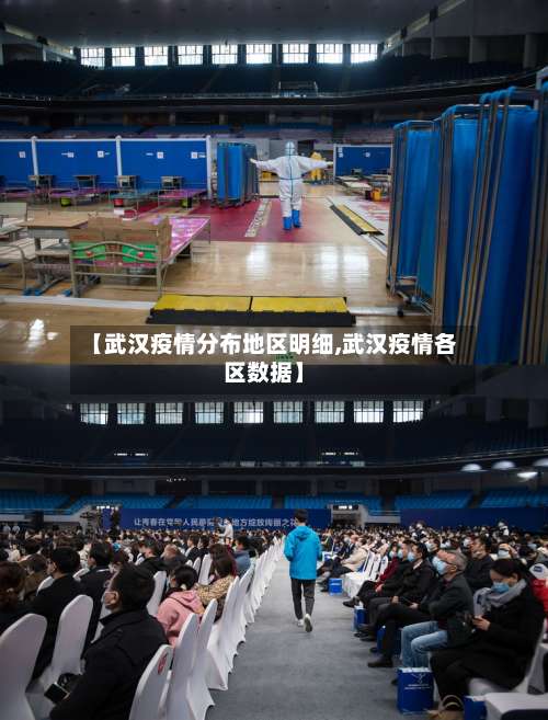 【武汉疫情分布地区明细,武汉疫情各区数据】-第3张图片