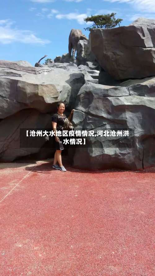 【沧州大水地区疫情情况,河北沧州洪水情况】-第1张图片