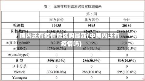 国内还有疫情地区吗最新(中国内还有疫情吗)-第2张图片