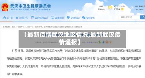 【最新疫情武汉地区情况,最新武汉疫情通报】-第3张图片