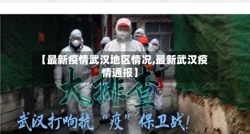 【最新疫情武汉地区情况,最新武汉疫情通报】-第2张图片