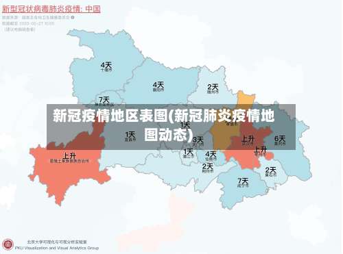 新冠疫情地区表图(新冠肺炎疫情地图动态)-第2张图片