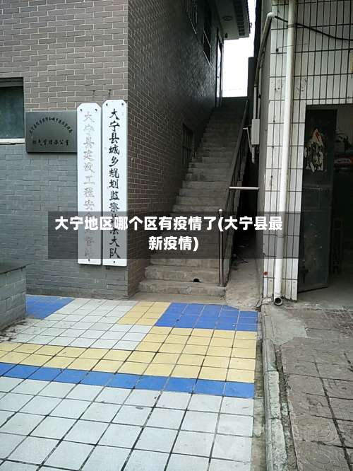 大宁地区哪个区有疫情了(大宁县最新疫情)-第1张图片
