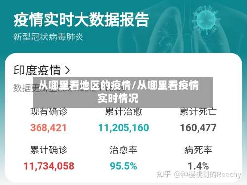 从哪里看地区的疫情/从哪里看疫情实时情况-第1张图片