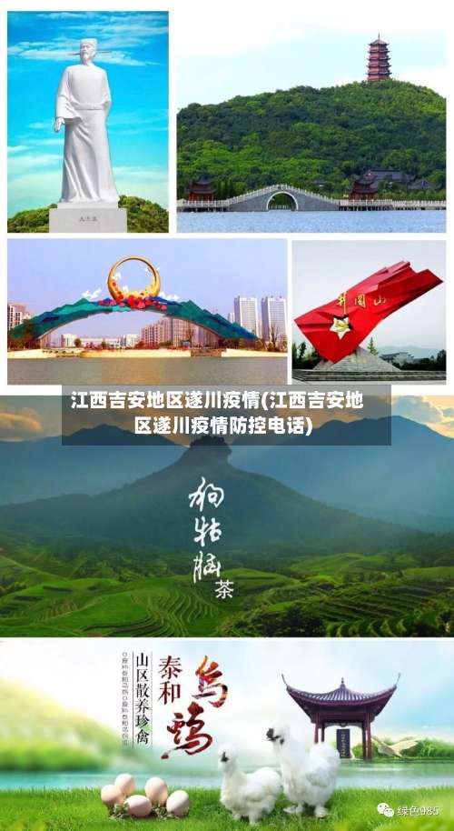 江西吉安地区遂川疫情(江西吉安地区遂川疫情防控电话)-第3张图片