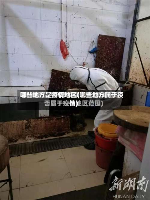 哪些地方是疫情地区(哪些地方属于疫情)-第2张图片