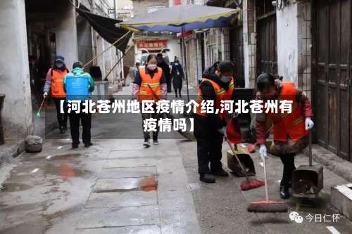 【河北苍州地区疫情介绍,河北苍州有疫情吗】-第2张图片