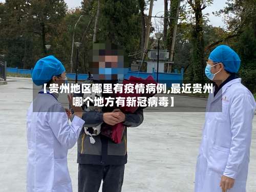 【贵州地区哪里有疫情病例,最近贵州哪个地方有新冠病毒】-第2张图片