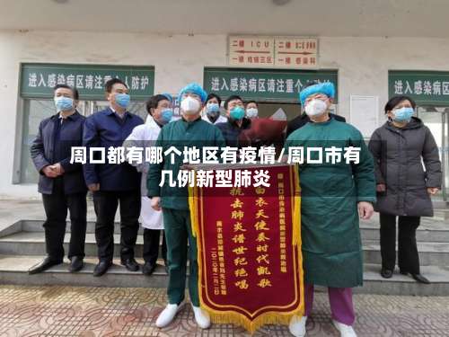 周口都有哪个地区有疫情/周口市有几例新型肺炎-第2张图片