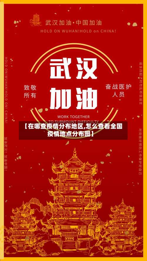 【在哪查疫情分布地区,怎么查看全国疫情地点分布图】-第2张图片