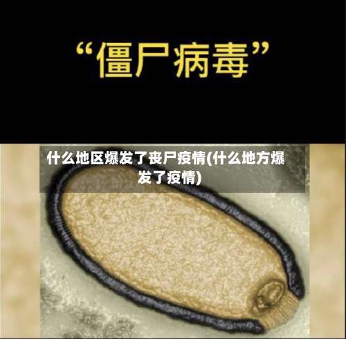 什么地区爆发了丧尸疫情(什么地方爆发了疫情)-第1张图片