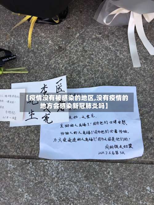 【疫情没有被感染的地区,没有疫情的地方会感染新冠肺炎吗】-第1张图片