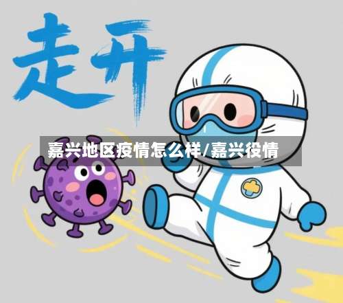 嘉兴地区疫情怎么样/嘉兴役情-第2张图片