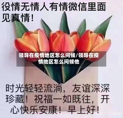 领导在疫情地区怎么问候/领导在疫情地区怎么问候他-第2张图片