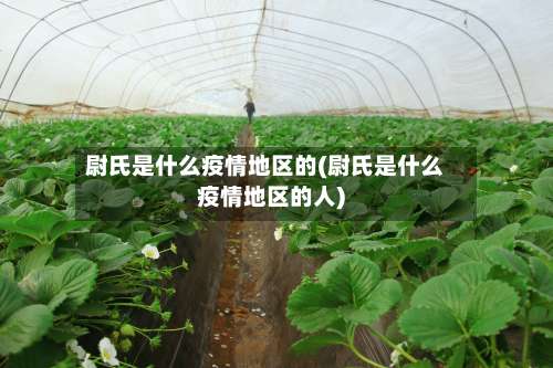 尉氏是什么疫情地区的(尉氏是什么疫情地区的人)-第1张图片