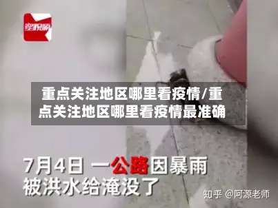 重点关注地区哪里看疫情/重点关注地区哪里看疫情最准确-第1张图片