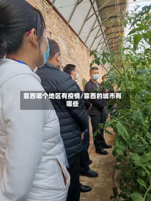 靠西哪个地区有疫情/靠西的城市有哪些-第2张图片