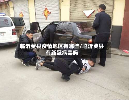 临沂费县疫情地区有哪些/临沂费县有新冠病毒吗-第3张图片