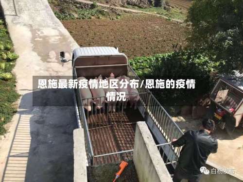 恩施最新疫情地区分布/恩施的疫情情况-第2张图片