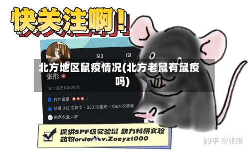 北方地区鼠疫情况(北方老鼠有鼠疫吗)-第1张图片