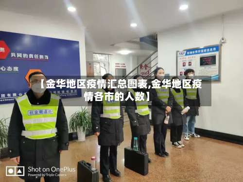 【金华地区疫情汇总图表,金华地区疫情各市的人数】-第2张图片