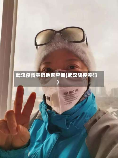 武汉疫情黄码地区查询(武汉战疫黄码)-第2张图片