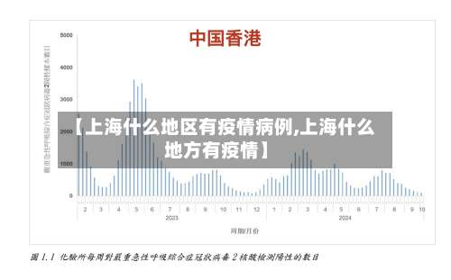 【上海什么地区有疫情病例,上海什么地方有疫情】-第2张图片