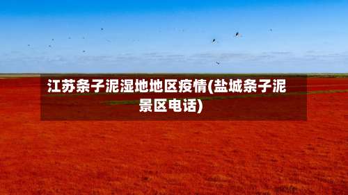 江苏条子泥湿地地区疫情(盐城条子泥景区电话)-第1张图片
