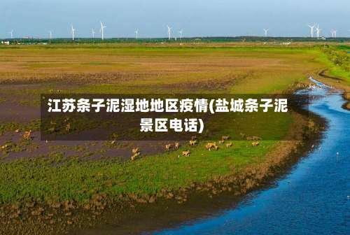 江苏条子泥湿地地区疫情(盐城条子泥景区电话)-第2张图片
